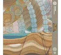 Into The Distance [VINYL]