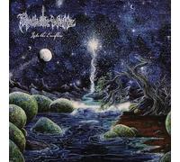 Into The Everflow (Re-Issue 2024) [VINYL]