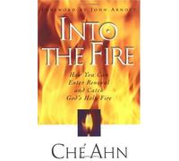 Into the Fire: How You Can Enter Renewal and Catch God's Holy Fire
