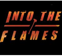 Into The Flames PC Steam Account