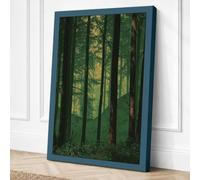 Into the Forest Light Canvas Wall Art Print 18x12 Inch (46 x 30 cm)