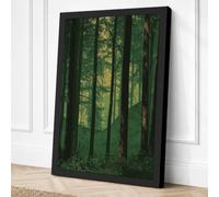 Into the Forest Light Canvas Wall Art Print 30x20 Inch (76 x 51 cm)