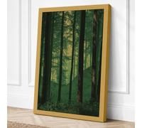 Into the Forest Light Canvas Wall Art Print 30x20 Inch (76 x 51 cm)