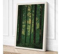 Into the Forest Light Canvas Wall Art Print 30x20 Inch (76 x 51 cm)