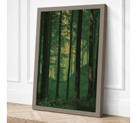 Into the Forest Light Canvas Wall Art Print 36x24 Inch (91 x 61 cm)