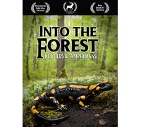 Into the Forest: Reptiles & Amphibians