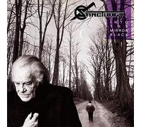 Into The Mirror Black [VINYL]