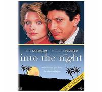 INTO THE NIGHT