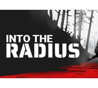Into the Radius VR (PC) Steam Account - GLOBAL
