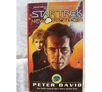 Into the Void: Bk.2 (Star Trek: New Frontier)