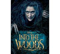 Into the Woods - DVD - 2014 - Region 1 US Import (NTSC)