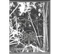 Into The Woods Of Belial [CASSETTE]