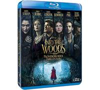Into the woods : promenons-nous dans les bois [Blu-ray] [FR Import] [Blu-ray]...