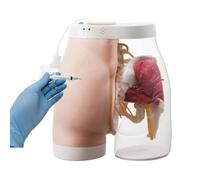 Intramuscular Injection Training Model, Buttocks Injection Practice Model