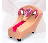 Intrauterine Contraceptive Training Model Female Uterine Internal Contraception Guidance Model and External Birth Device Model for Nursing Students