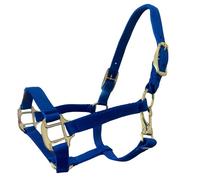 Intrepid International Durable Nylon Miniature Horse Halter w/Adjustable Chin & Throat Snap - Blue, Large Mini