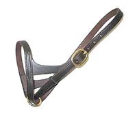 Intrepid International Leather Foal Slip Halter