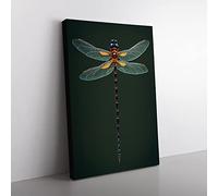 Intricate Dragonfly Canvas Wall Art Print Ready to Hang, Framed Picture for Living Room Bedroom Home Office Décor, 50x35 cm (20x14 Inch)
