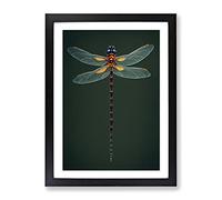 Intricate Dragonfly Framed Print for Living Room Bedroom Home Office Décor, Wall Art Picture Ready to Hang, Black A2 Frame (62 x 45 cm)