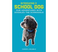 Introducing a School Dog: Our Adventures with Doodles the Schnoodle