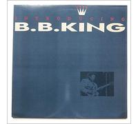 Introducing B.B. King [LP]