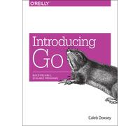 Introducing Go