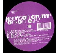 Introducing The Beatles - fake