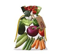 Introduction of various vegetables Christmas Gift Bags with Tags & Ribbon Ties, Xmas Drawstring Candy Treat Bag Christmas Gifts Sacks Reusable Gift Wrapping Bags for Holiday Party Favors Medium