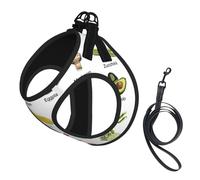 Introduction Of Various Vegetables Compact Pet Suspender Vest-The Perfect Small Pet For A Comfortable Walk