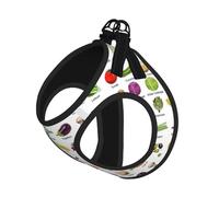 Introduction of Various Vegetables Print Pet Leash Vest Soft Adjustable Step in Puppy Vest Outdoor Walking with Leash