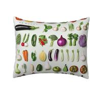 Introduction of various vegetables Print Pillow Cover 20 x 26 inch Double sided Printing Reversible Plush Fleece Cushion Case with Hidden Zip for Living Room,Sofa,Bedroom, Car Seat Decor