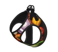 Introduction of Various Vegetables Print Step in Dog Harness and Leash Set,Adjustable Reflective Harness for Small Dogs Cats