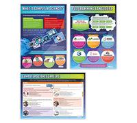 Introduction to Computer Science Posters - Set of 3 | Computer Science Posters | Laminated Gloss Paper 850mm x 594mm (A1) | STEM Posters for the Classroom | Education Charts by Daydream Education