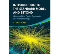 Introduction to the Standard Model and Beyond: Quantum Field Theory, Symmetries and Phenomenology