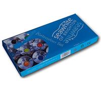 Introductory watercolour paint set 12 colours each 12ml