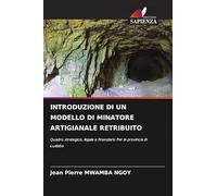INTRODUZIONE DI UN MODELLO DI MINATORE ARTIGIANALE RETRIBUITO: Quadro strategico, legale e finanziario Per la provincia di Lualaba