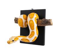 Introti Golden Ball Python Wall Sculpture Symbol of Strength & Prosperity Resin Python Hanging Wall Art Creative Pythons Walls Decoration for Living Room Bedroom Home Decor