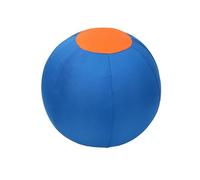 Introti Herding Ball for Dogs with Protective Cover & Pump Dog Training Toy To Keep Them Busy Dog Ball for Collie Shepherd All Herding Breeds