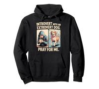 Introvert Dog Owner Extrovert Dog Funny Comic Pullover Hoodie