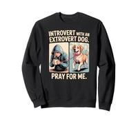 Introvert Dog Owner Extrovert Dog Funny Comic Sweatshirt