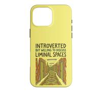 Introverted By Willing To Discuss Liminal Spaces Case for iPhone 16 Pro Max