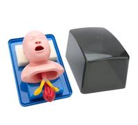 Intubation Manikin Training Model - Airway Management Trainer for Science Education and Tracheal Intubation Simulation