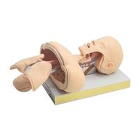 Intubation Manikin Training Simulator with Alarm Function, PVC Airway Management Model for Mouth and Nose Intubation Training, Realistic Patient Care Practice