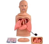 Intubation Nasogastric Tube Simulator, Tracheostomy Care Model, Airway Management Teaching Aid Kit, Advanced Gastric Lavage Training Tool for Medical Professionals