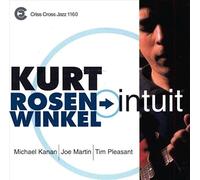 Kurt Rosenwinkel - Intuit