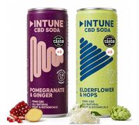 INTUNE CBD Drink Variety Pack | 2 Sparkling Fruit Flavours |Natural, Vegan, Low Calorie Drink | CBD Infused Soft Drinks | CBD Can | Pomegranate & Ginger and Elderflower & Hops | 12x250ml Cans