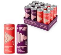INTUNE CBD Drink Variety Pack | 2 Sparkling Fruit Flavours | Natural, Vegan, Low Calorie Drink | CBD Infused Soft Drinks | CBD can | Grapefruit & Mint and Pomegranate & Ginger | 12 x 250ml Cans