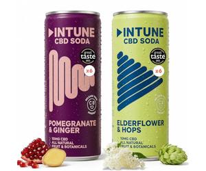 INTUNE CBD Drink Variety Pack | 2 Sparkling Fruit Flavours |Natural, Vegan, Low Calorie Drink | CBD Infused Soft Drinks | CBD Can | Pomegranate & Ginger and Elderflower & Hops | 12x250ml Cans