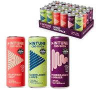INTUNE CBD Drink Variety Pack | 3 Sparkling Fruit Flavours | Natural, Vegan, Low Calorie Drink| CBD Infused Soft Drinks | CBD can | 24 x 250ml Cans