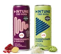 INTUNE CBD Drink Variety Pack | Pomegranate and Ginger | Elderlflower Hops | Natural, Vegan, Low Calorie Drink | CBD Infused Soft Drinks | CBD can | 24 x 250ml Cans